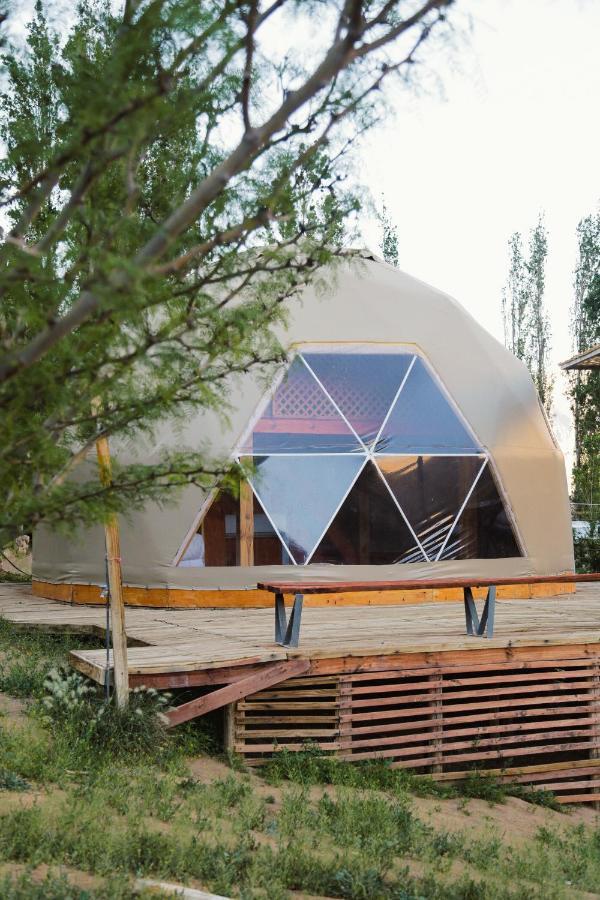 Milodge Elqui Domos Pisco Elqui Bagian luar foto